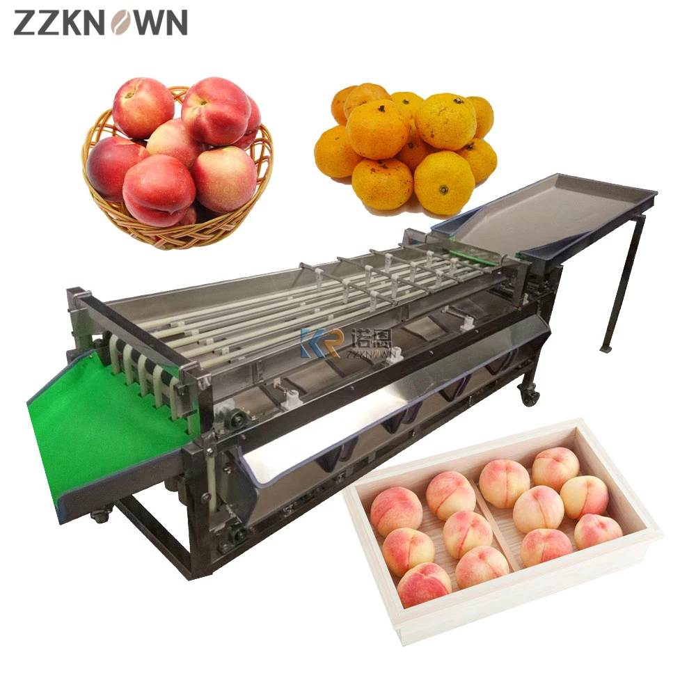 

2T/H High Efficiency Fruit Selecting Equipment Fully Automatic Almond Blueberry Guava Grading Machine For Sale