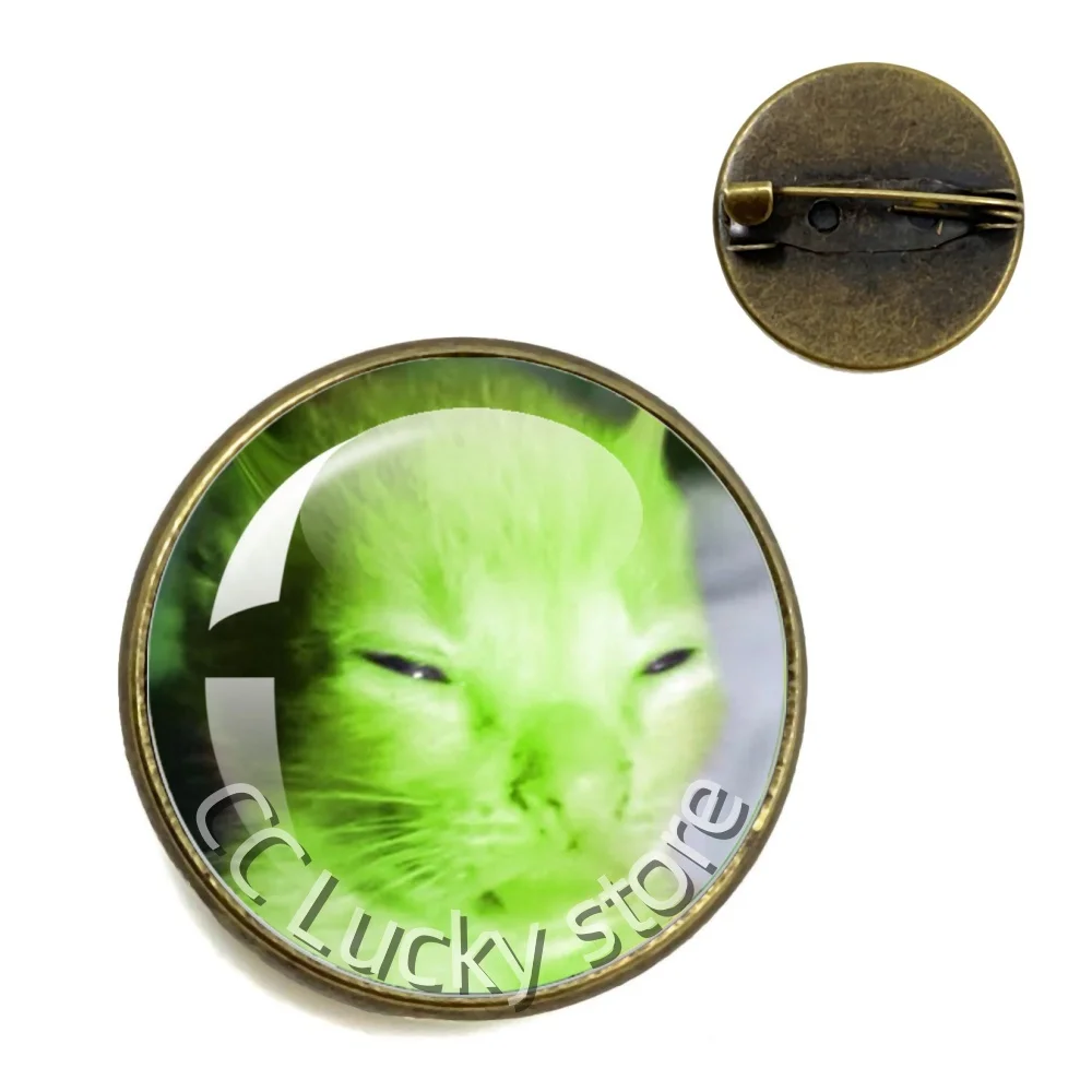 20mm/25mm Round Brooches Hot Regretevator Gnarpy Handmade Glass Funny Green Alien Cat Accessories Pins Jewelry Children Gift
