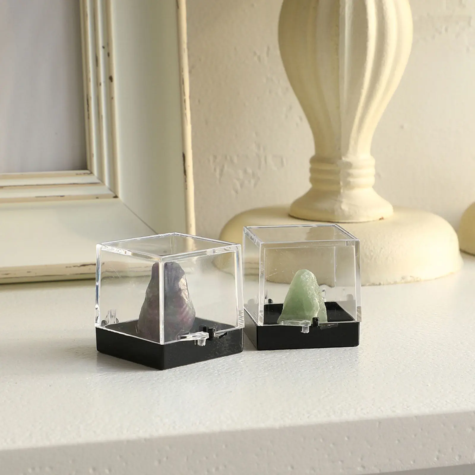 Clear Plastic Display Boxes 6 Pack Transparent Specimen Cases for Geological Samples Minerals Collectibles