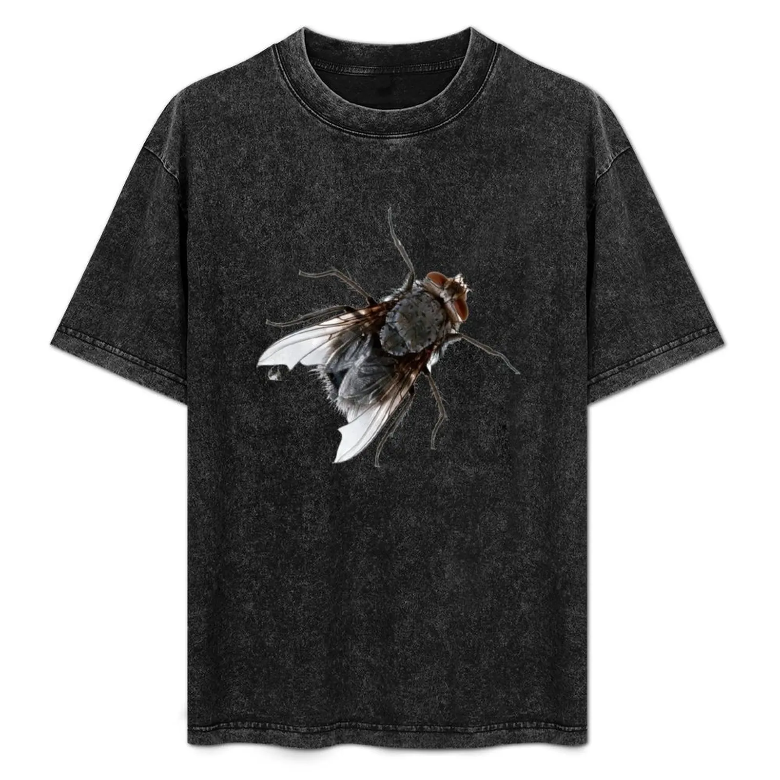

The lowly housefly or house fly. Bugs ya doesn't it. T-Shirt Standard Fit Solid Tee Shirt