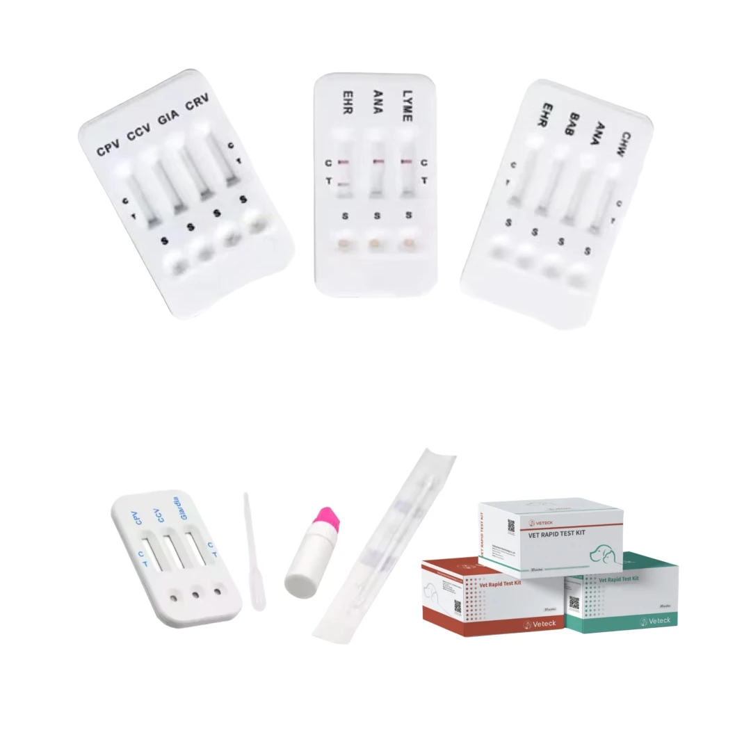 Antibody Test Kit Veterinary Diagnostic Equipment For Heartworm Diagnosis - Image 4