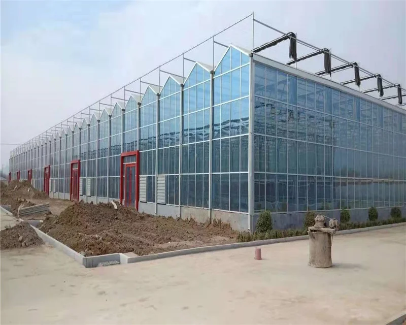 

Customized greenhouseVenlo Agricultural Glass Greenhouse for Vegetables Growing with Turnkey Project