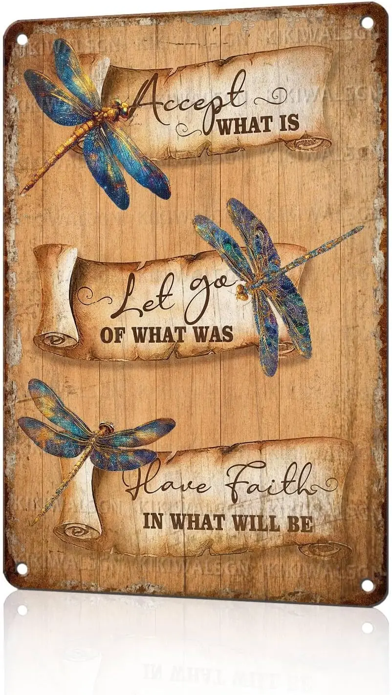 Vintage Inspirational Tin Sign Accept What Is let go of what was Have Faith in what will be Retro Dragonfly Metal Poster Nostalg