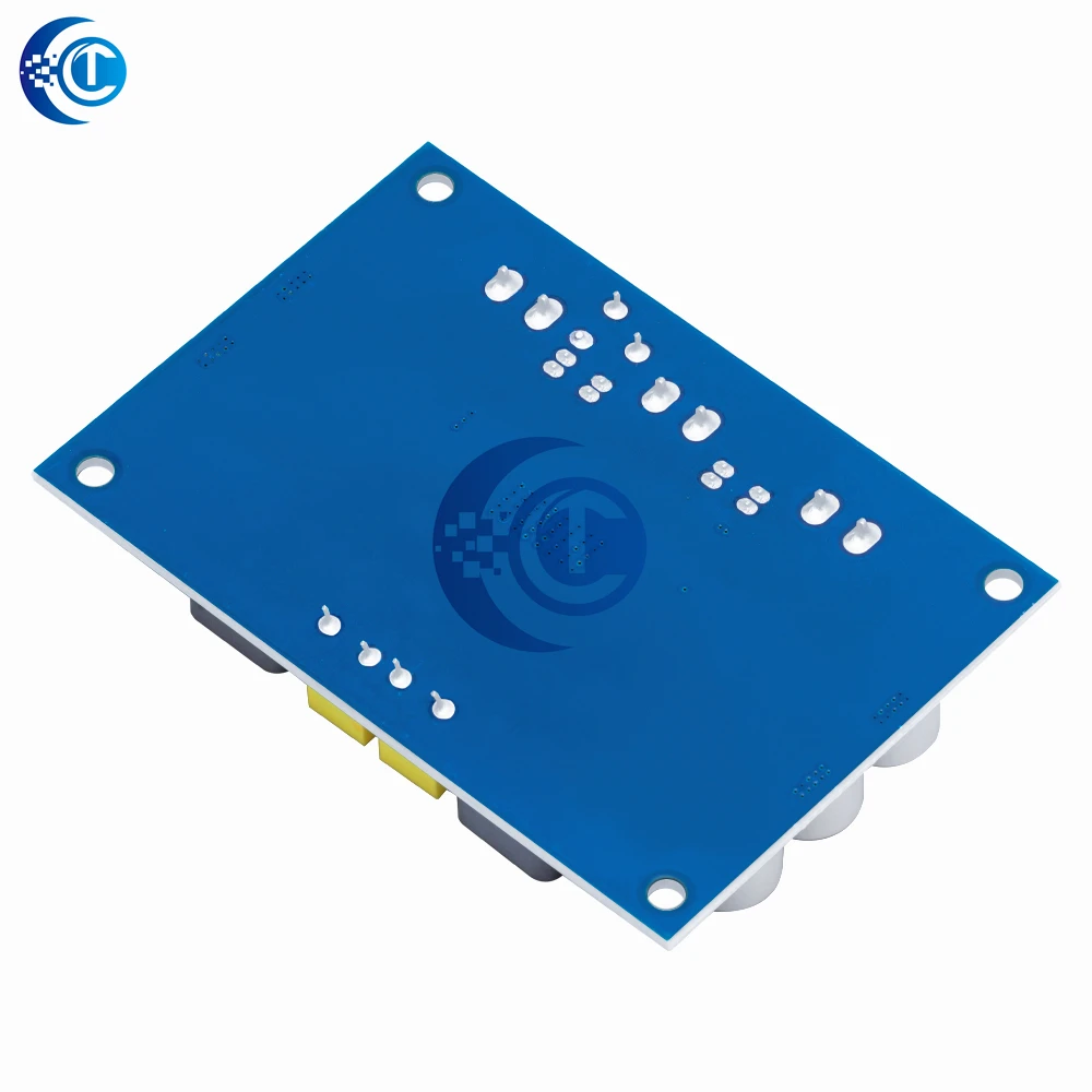 XH-M542 TPA3116 D2 Mono Amplifier Board - 100W Maker-Friendly Digital Audio Power Module