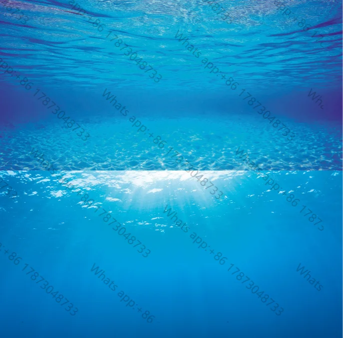 1 piece new PVC double sided a - Fish In Aquarium Picture recension och pris