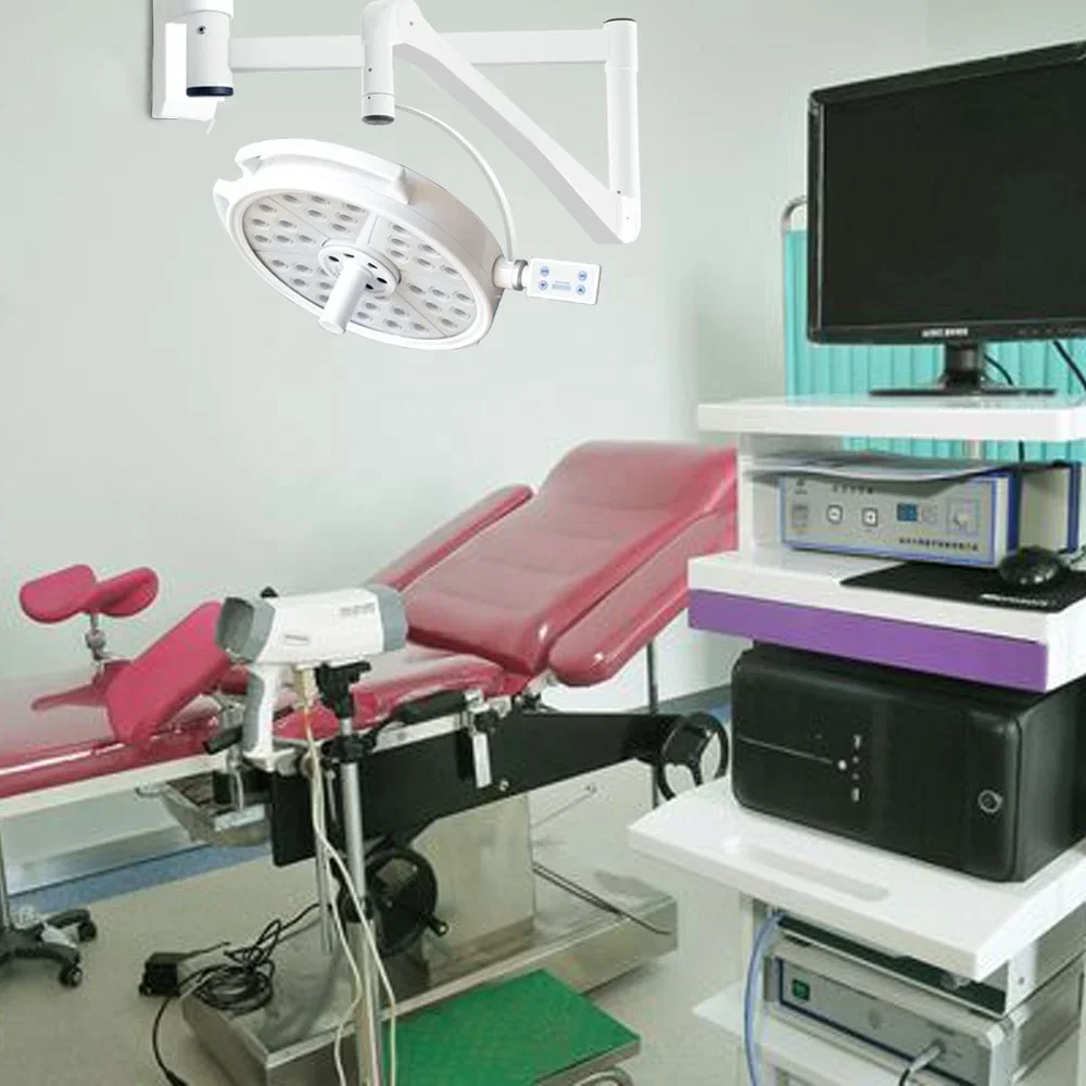 

36 Holes 108W Led Wall Mounted Dental Veterinary Surgical Shadowless Medical Examination Light