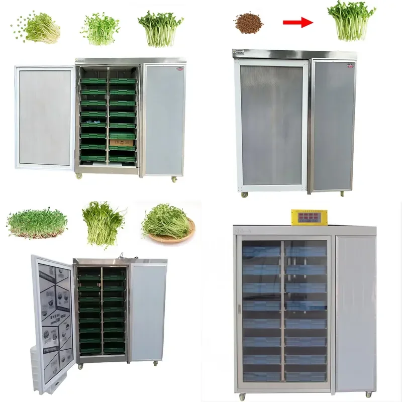 Large Electric Multi Function Seedling Machine for Automatic Germination of Mung Beans Barley Wheat New High Efficiency