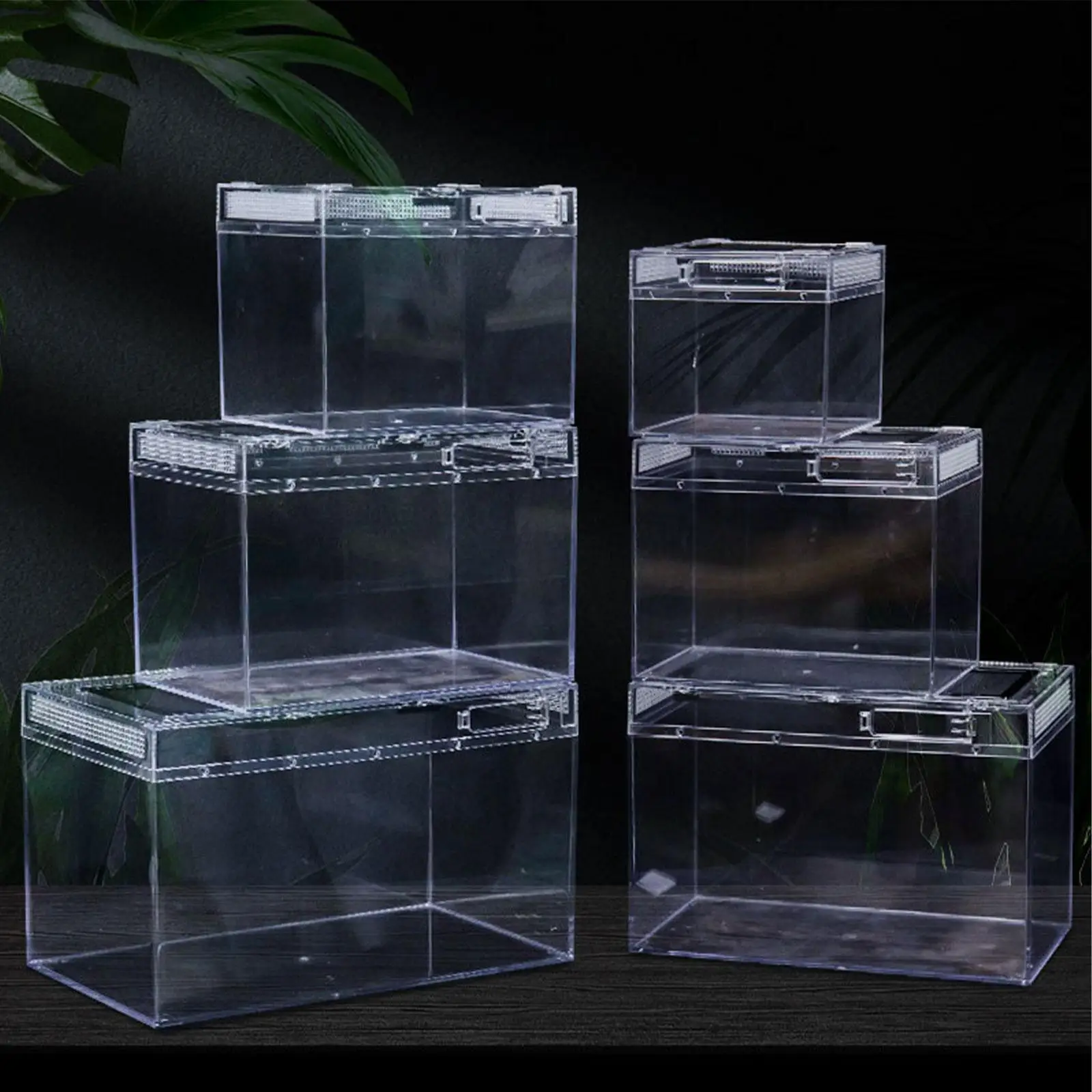 Reptile Terrarium Habitat Clear with Full View Visually Appealing Container for Tarantula Iguana Turtle Portable Lightweight