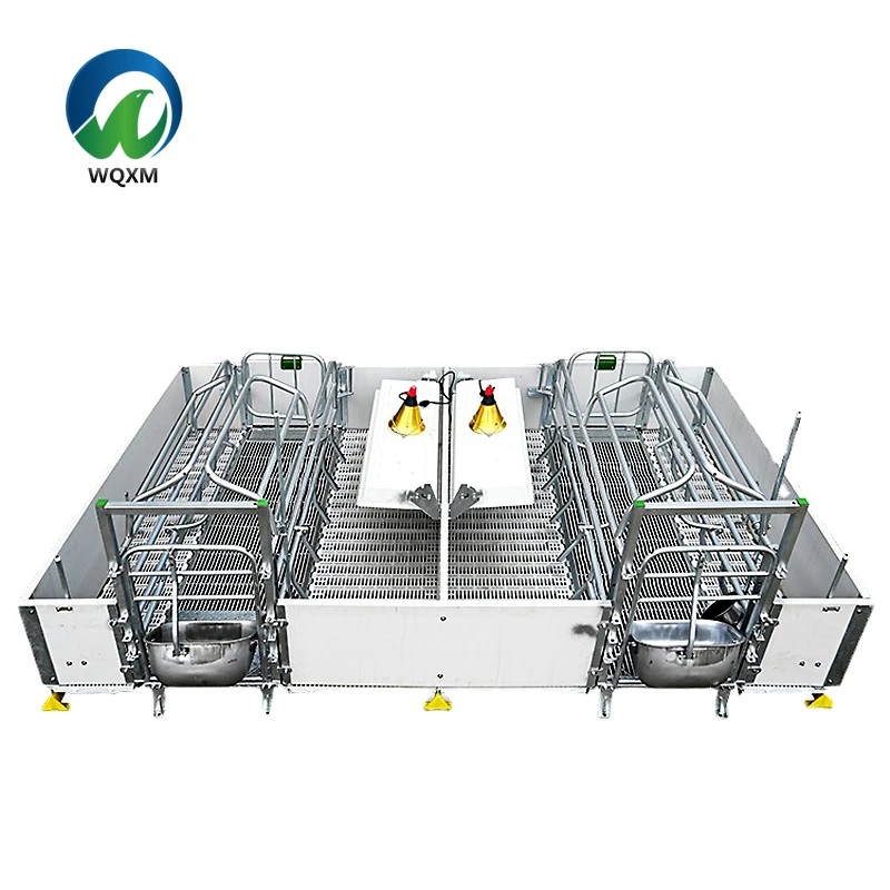 

EU European Type Farrowing Pen Cage for Pigs Farm Double Size Sow Bed Hot Galvanized Steel Pipe With PVC Animal Cages