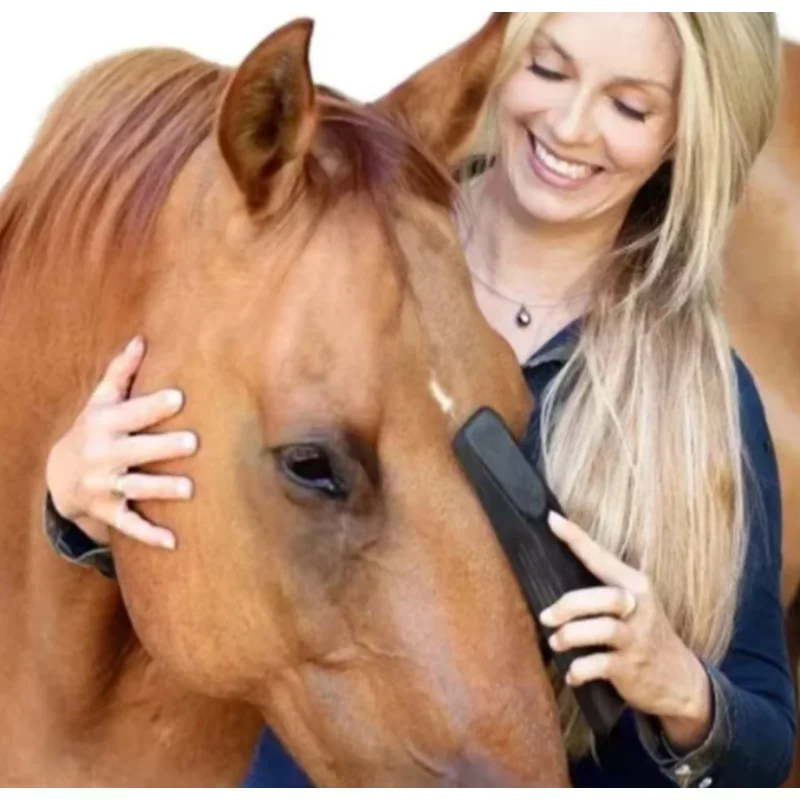 Equestrian Horse Massage Brushes Animal Body Grooming Bath Cleaning Tools Hair Finishing Supplies for Horse Care