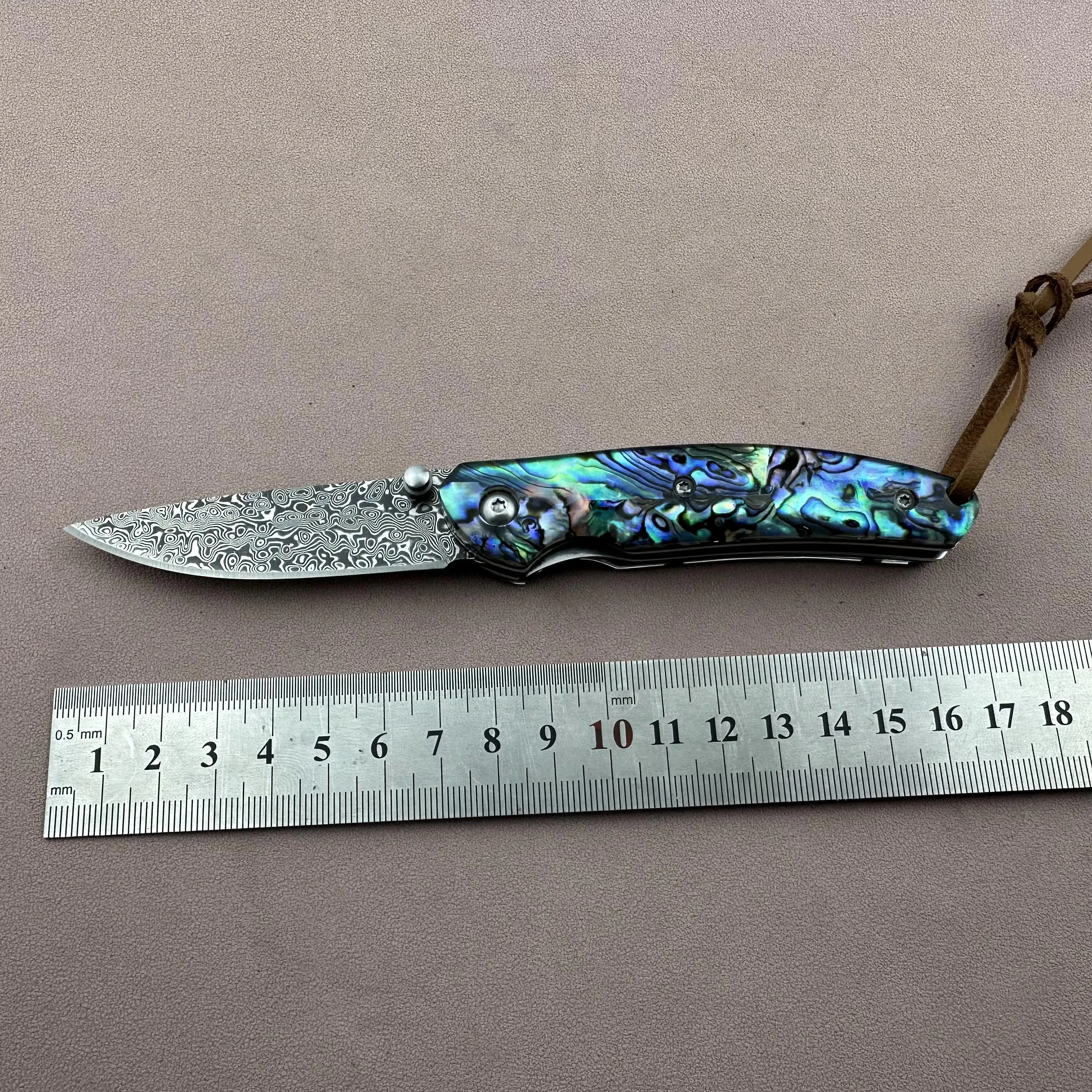 Topwell Handmade Forged Damascus Steel Knife VG10 Blade Abalone Shell Handle With Gift Box Camping outdoor Excellent Men Gift