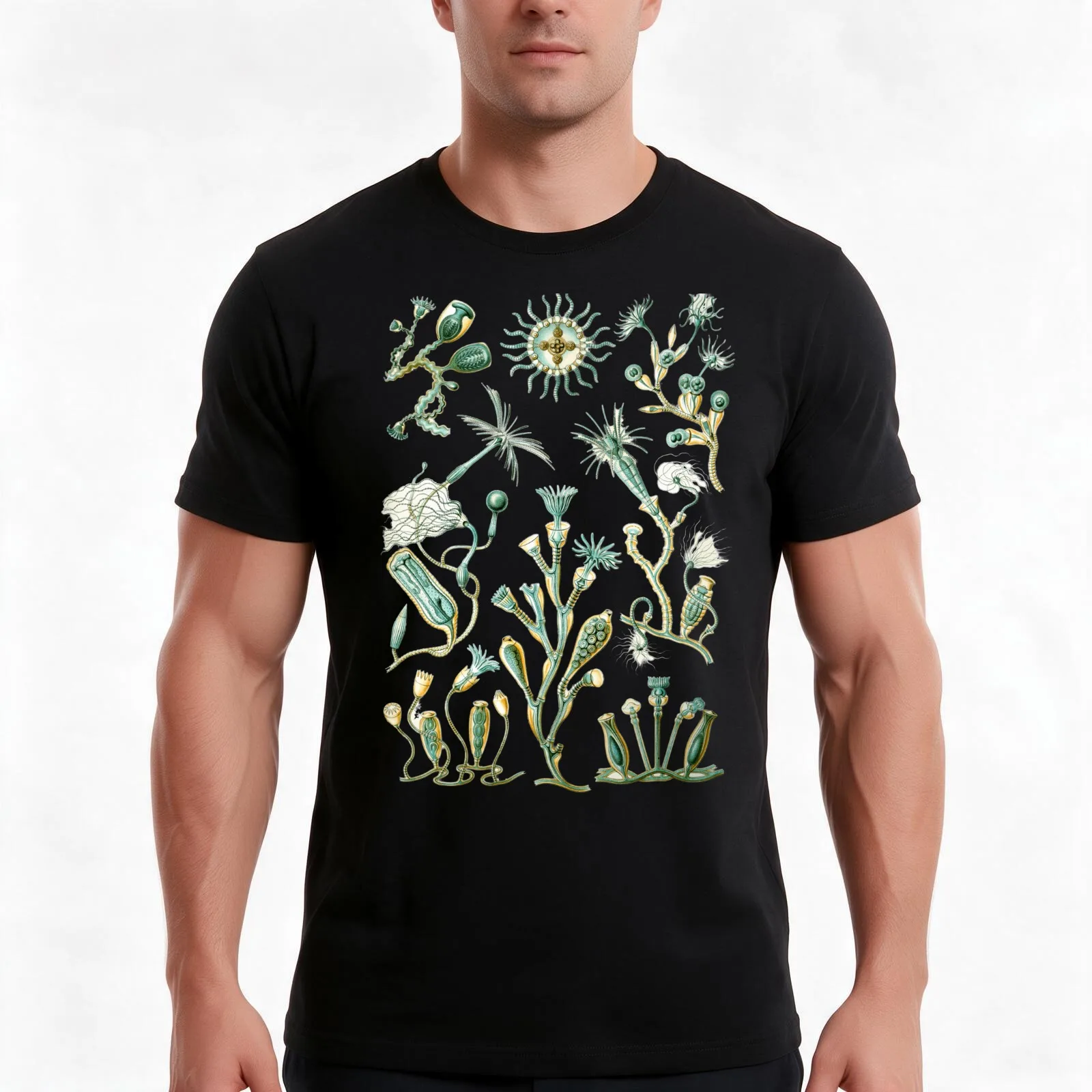 Ernst Haeckel - Scientific Illustration - Campanariae T-Shirt, Summer Casual Cotton Tee, Oversized Streetwear Tops, 100% Cotton