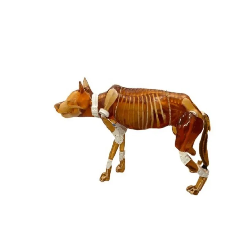 Adult female dog motif, machinable detection motif