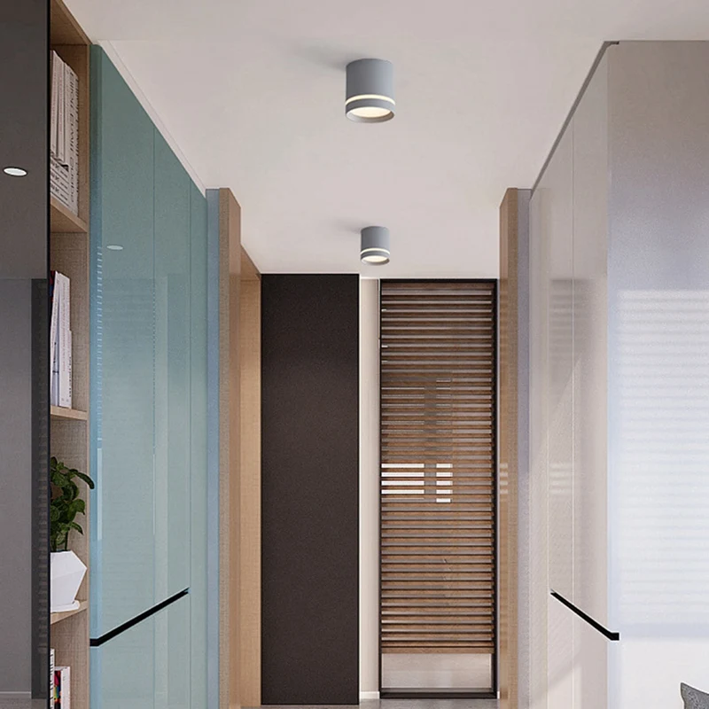 LED Downlight Spotlight Ceiling Light Spotlight 220V 12W Surface Mount Light