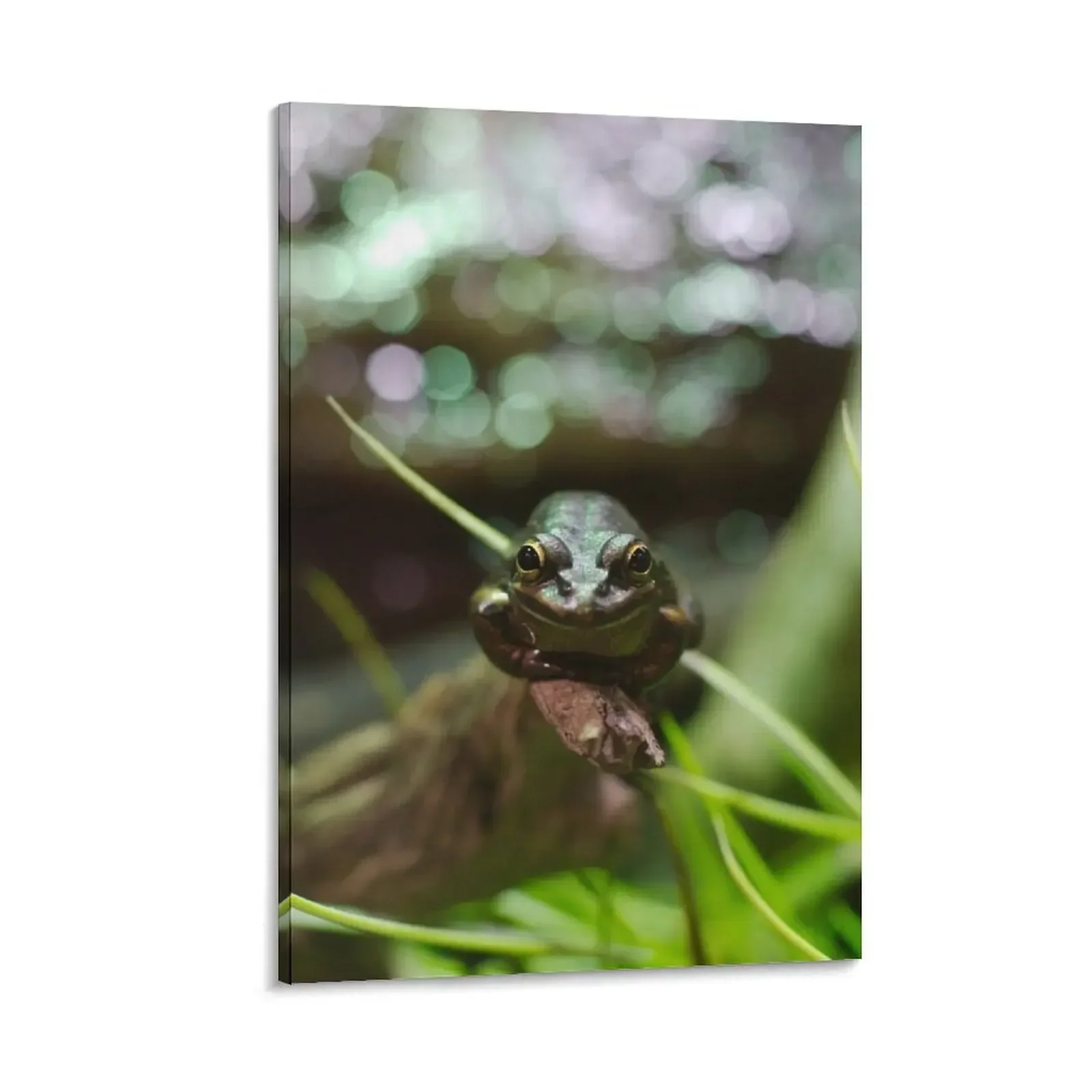 

Patient frog Canvas Painting aesthetic room wall decoration paintings Wall decoration frame decor