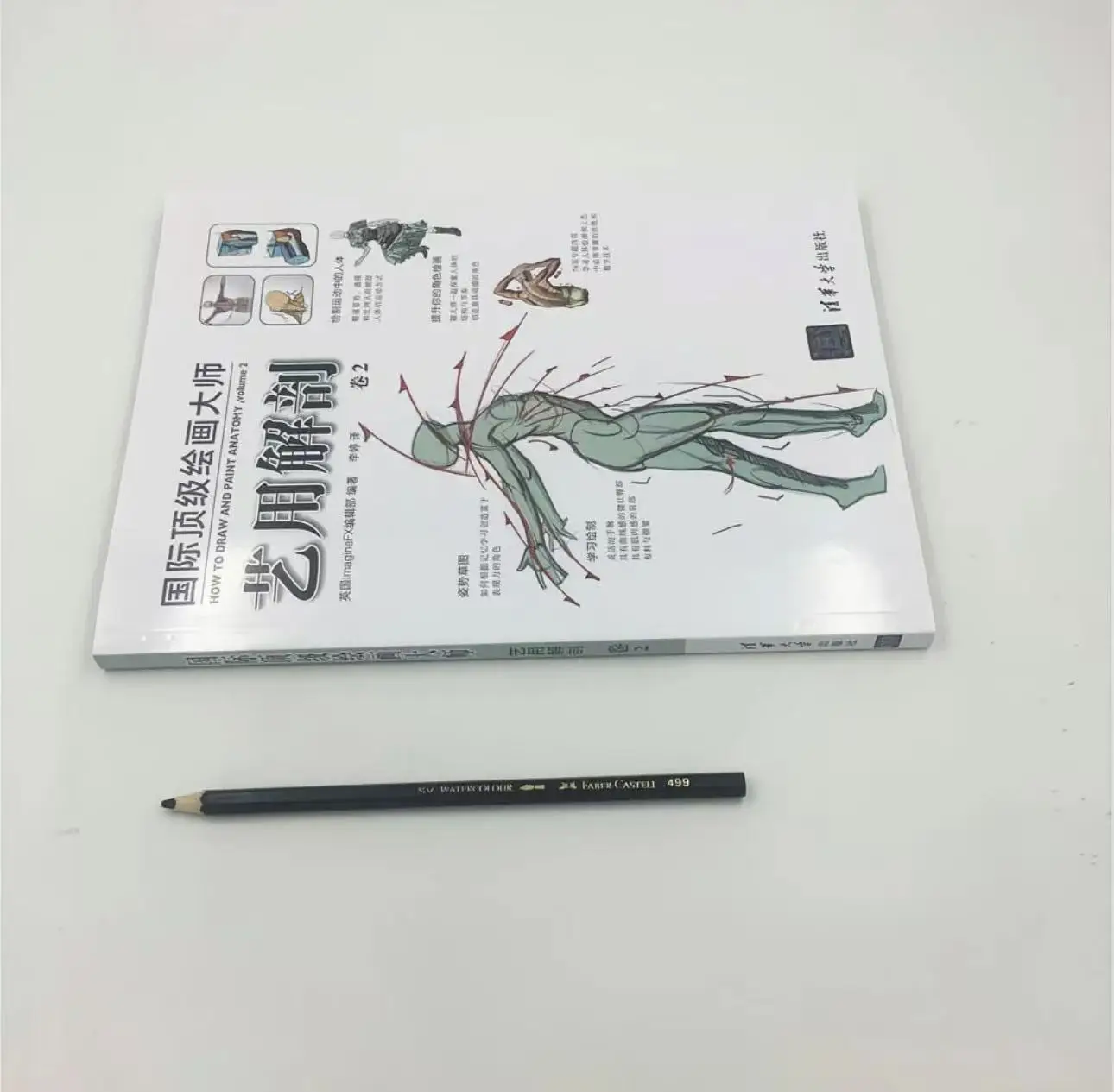 Ahli Lukisan Internasional: Anatomi Artistik Volume 2