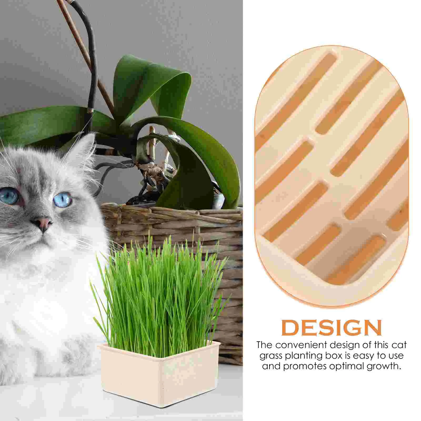 Cat Grass Growing Box Soilless Cat Grass Planting Container Cat Grass Planting Box Cat Grass Planter Cat Plant Soilless Planting