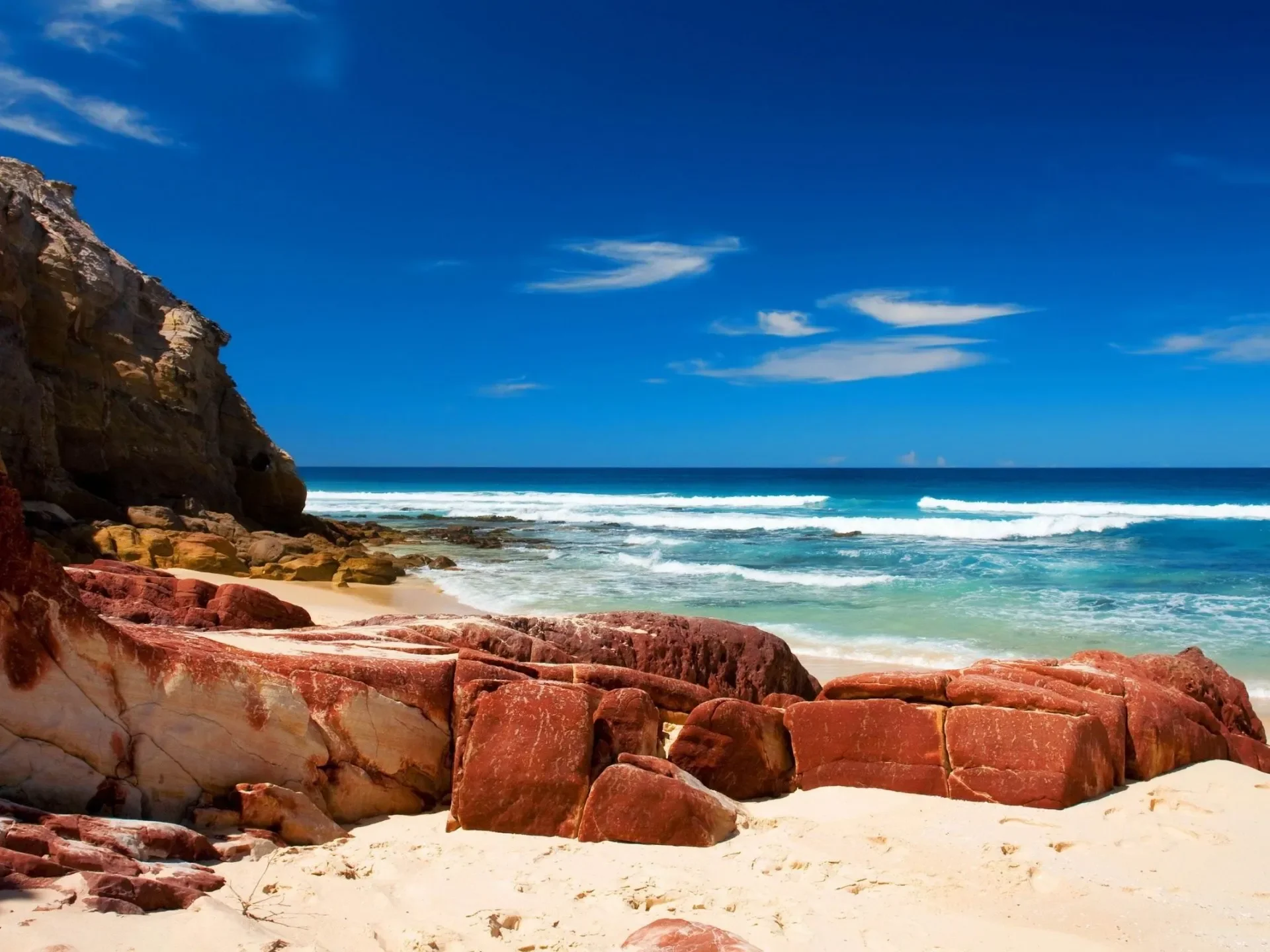 

Для Toyota C-HR 2018-2022 под защитой двигателя, брызговик, крышка брызговика, черный автомобильный брызговик, крышка брызговика