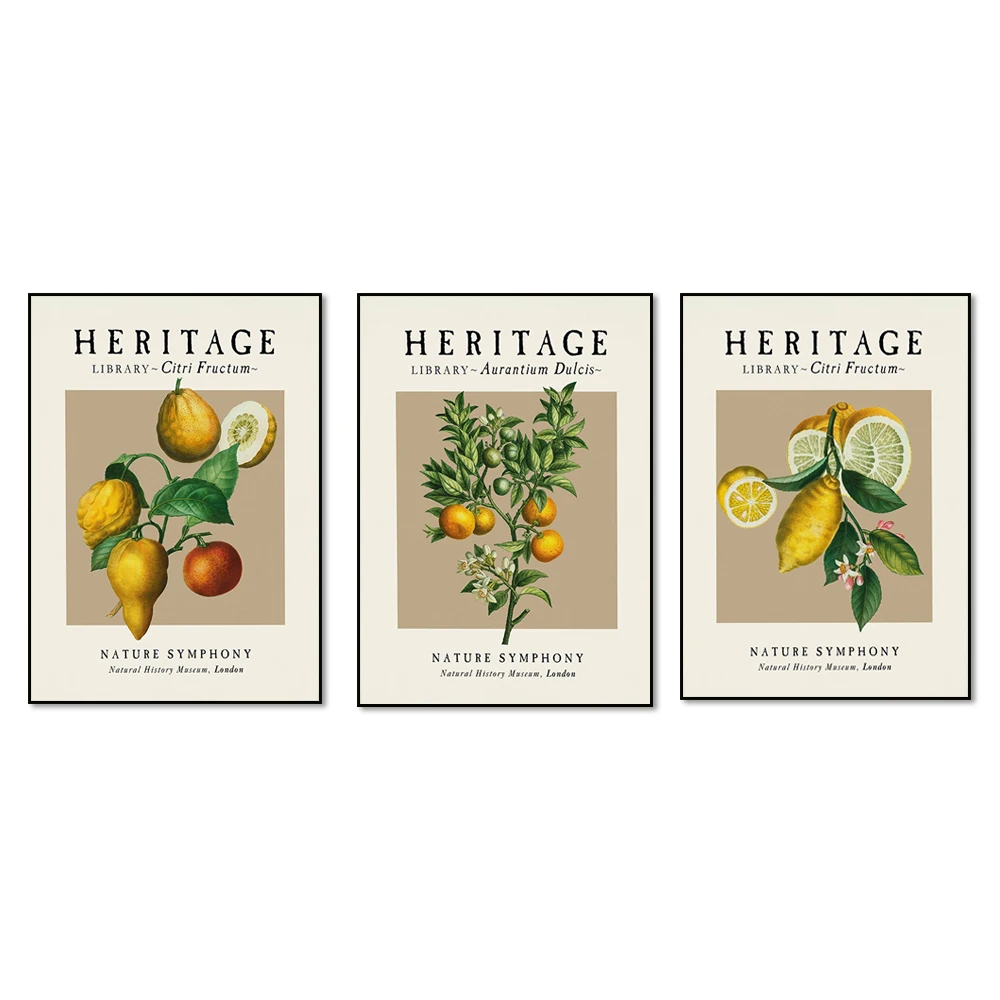 Botanical Poster | Citrus Fruits Vintage Poster | Mandarine Wall Art | Lemon Tree Print | Vintage illustration Wall decor