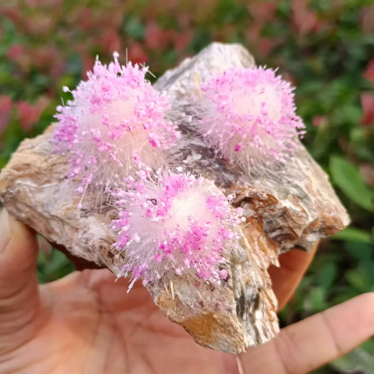 Natural Magnesite Symbiosis Pink Goethite, Quartz Crystal Ore Clusters, Mineral Reiki Healing