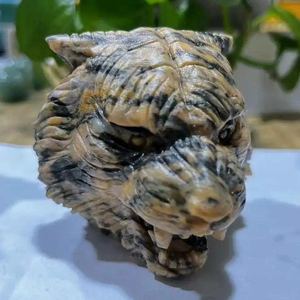 حجر اليشم جلد النمر الطبيعي ، رأس النمر ، نحت الكريستال ، تمثال حيوان ، طاقة الشفاء ، حرف أحجار كريمة ريكي ، هدية عيد الميلاد #3