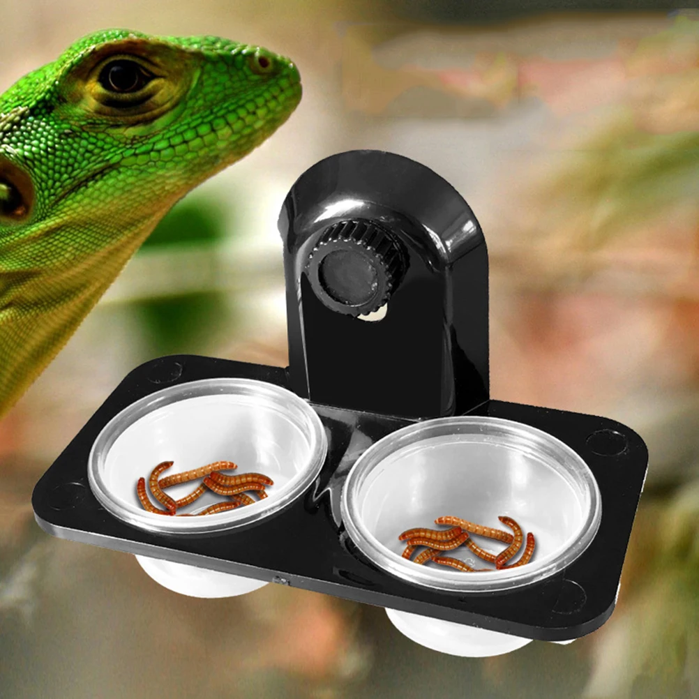 

Double Cushion Food Bowl Reptile Feeder Durable Transparent Pet Lizards Scorpion Storage Water Sea Turtle Glass Eco Friendly