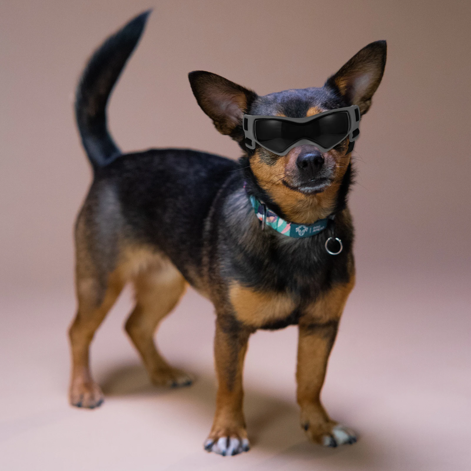 

Dog Goggles UV Sunglasses Glasses for Pet Eye Wear Black Puppy Cooling Glasses Adjustable Strap Pet Accessories