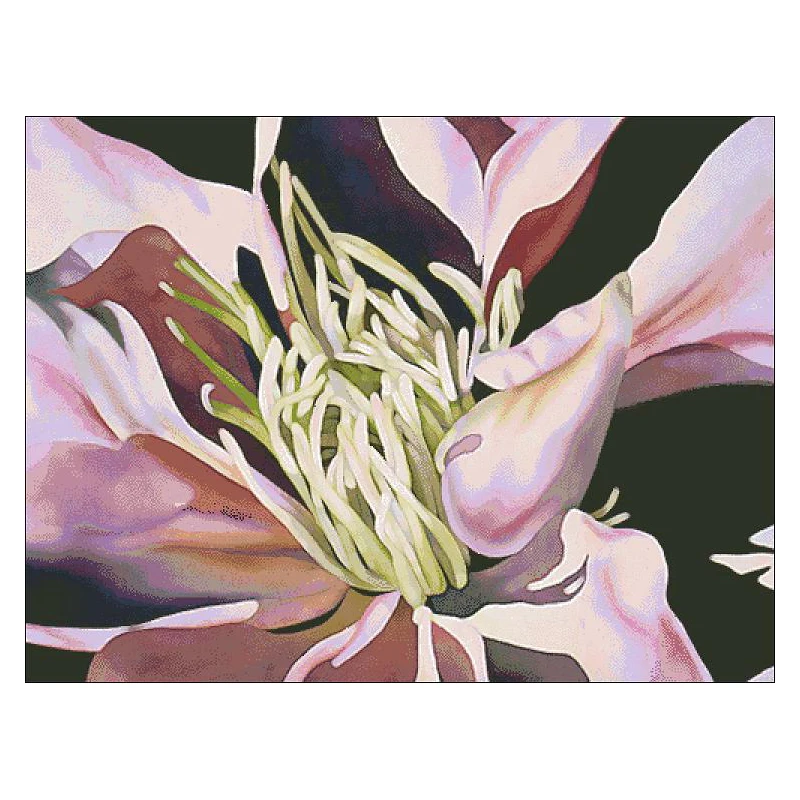 

HC904 Наборы для вышивки крестом Полный набор для вышивки крестом Иглы Искусство и ремесло Хобби Рукоделие Цветочная посылка Хобби