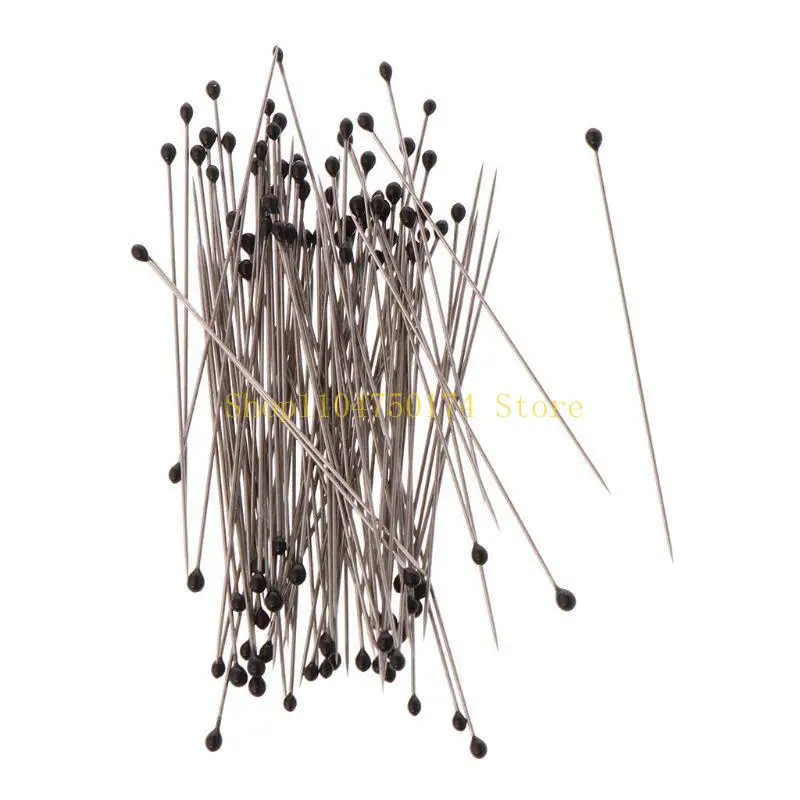 Dissection and for Butterfly Collections Needle for School Lab Entomology Dissec top sale