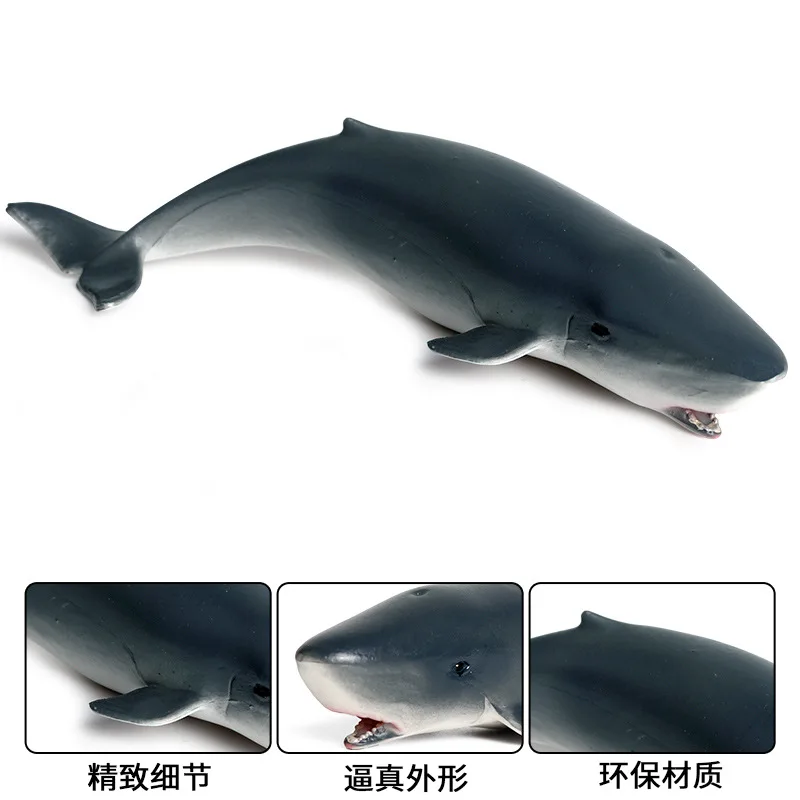 Children\'s solid static simulation marine animal model toy whale shark sperm whale plastic animal model ornaments