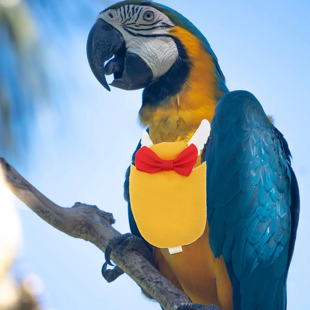 

Parrot Flight Suit Pet Bird Clothes for Cockatiel Diaper Parakeet Nappies Washable Birds