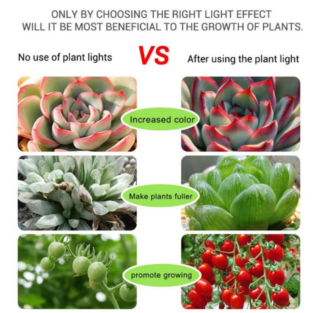 O diodo emissor de luz do usb da c.c. 5v cresce a luz completa do espectro 1-5m planta cresce a lâmpada conduzida do phyto da tira para a muda vegetal da flor cresce a caixa da barraca