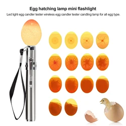 Egg Candler Tester, Bright Cool LED Light Candling Lamp for All Chicken Dark Quail Duck Canary Eggs