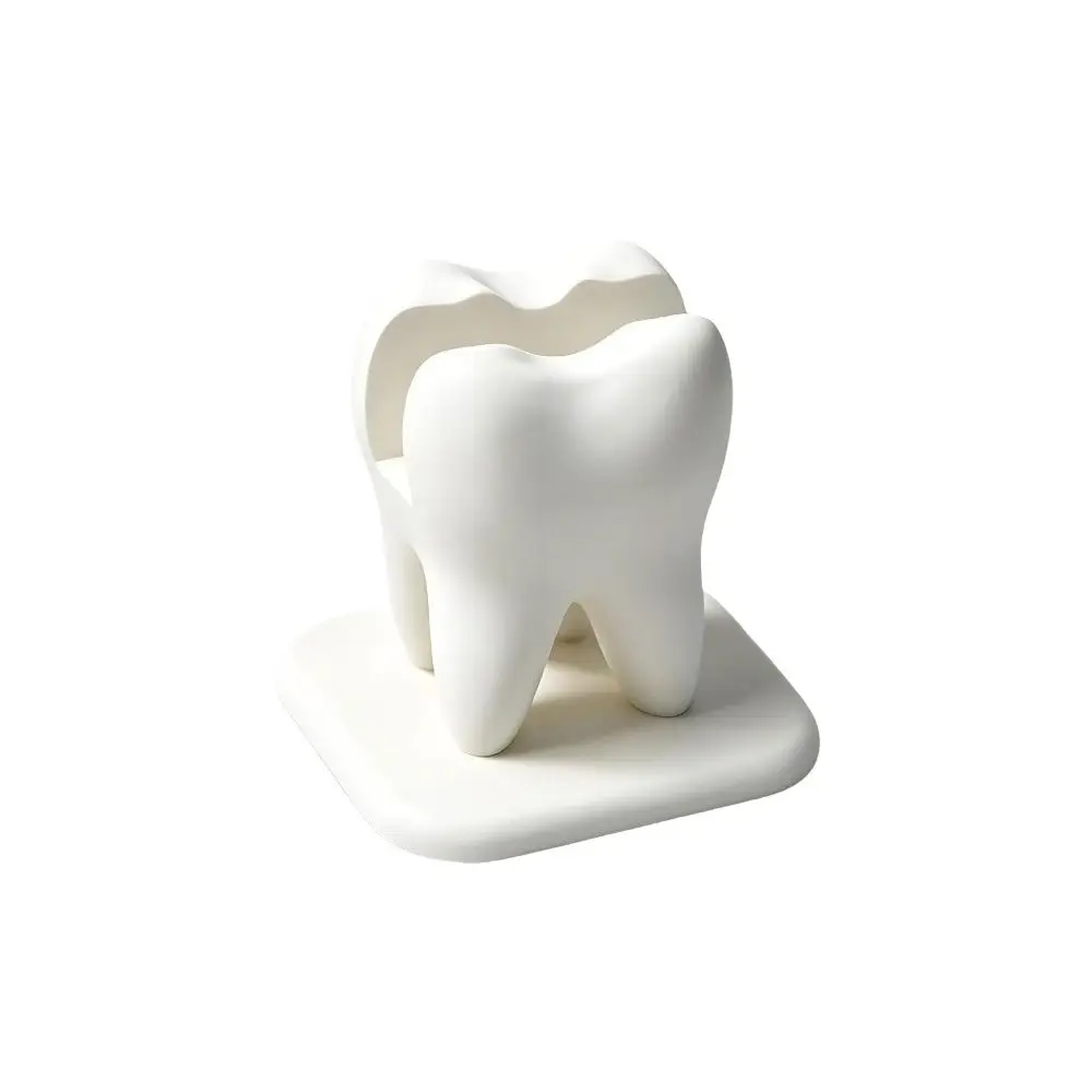 New White Tooth Shaped Card Holder Matte Finish Unique Shape Desk Storage Box Front Desk Display Stand Teeth Desktop Organizer