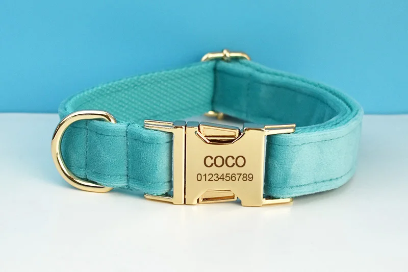 Türkisfarbenes Samt-Hundehalsband und Leinen-Set für Hunde, individuell graviertes Namensschild, Haustierbedarf, Hundeleine, Samt, 40 – Detail 4