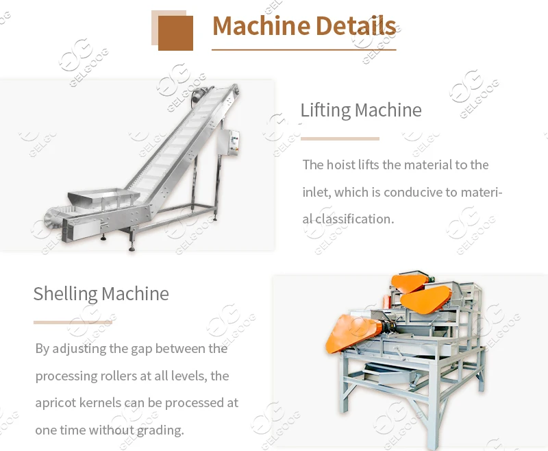 GG-1 Automatic Almond Nut Cracker Almond Dehusking Machine