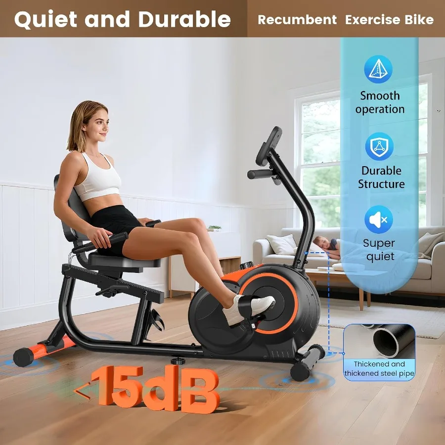 Recumbent Exercise Bike for Home, Quiet Magnetic Stationary Bike for Senior