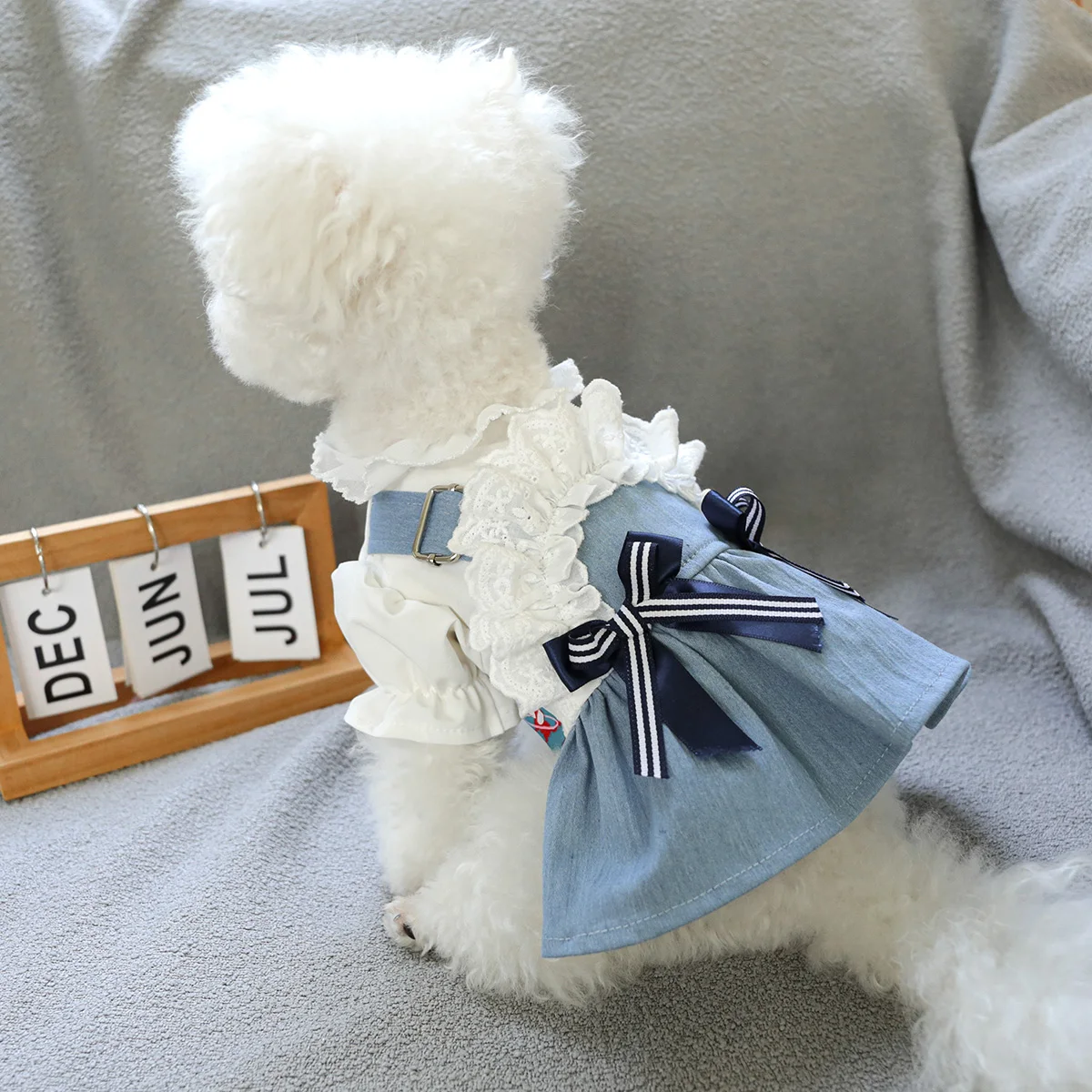 Thumbnail 4 - #7 Trending Pet Apparels Right Now