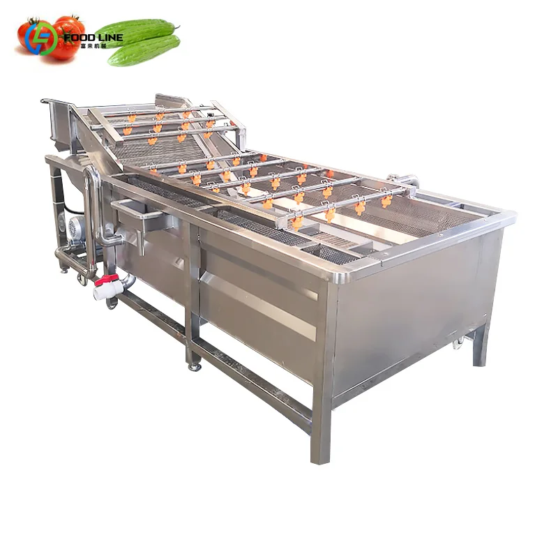 Customized Export Quality Bubble Cleaning Machine Fruit Vegetable Washing Processing Equipment