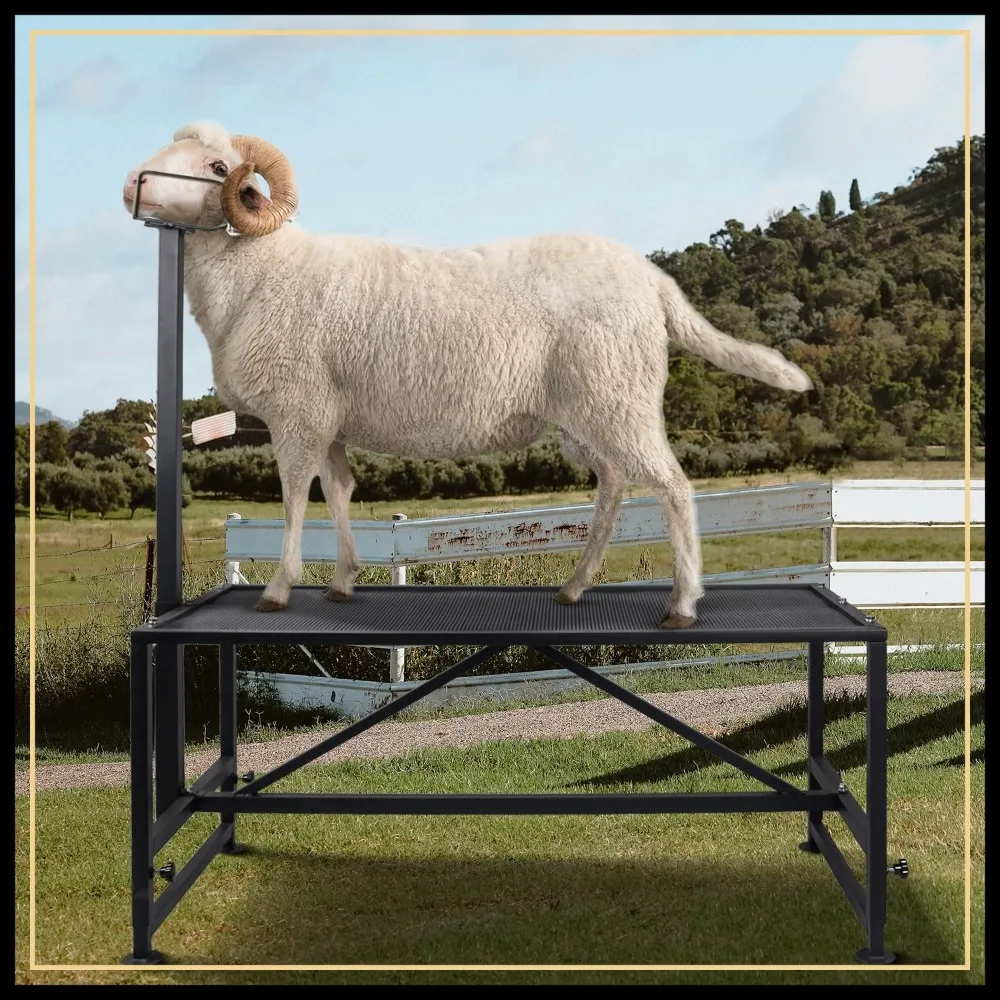

Goat Milking Stand 600Lbs, Adjustable Sheep Stand for Trimming, Metal Livestock Stand with Headpiece, Black