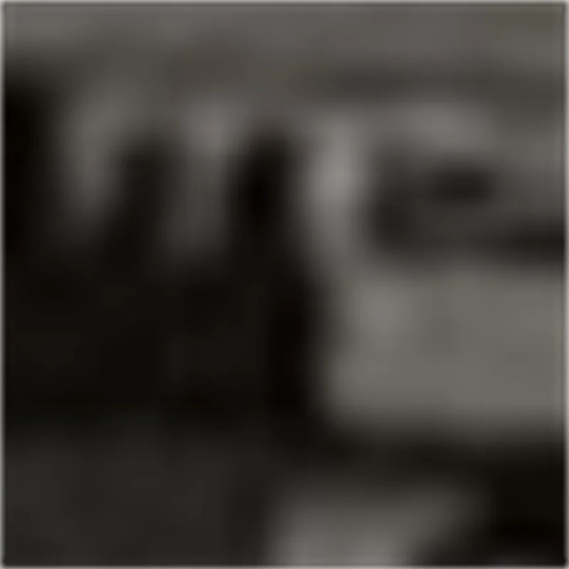 

Factory Direct Supply Portable Bone Saw Machine Trotters Ribs Cutter Machine on Sale