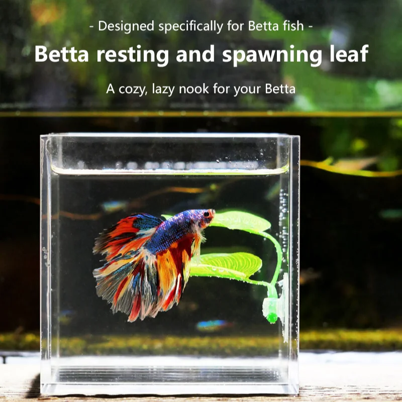 Planted Aquarium Betta - Suministros para Acuarios, Decoración, Plantas Acuáticas