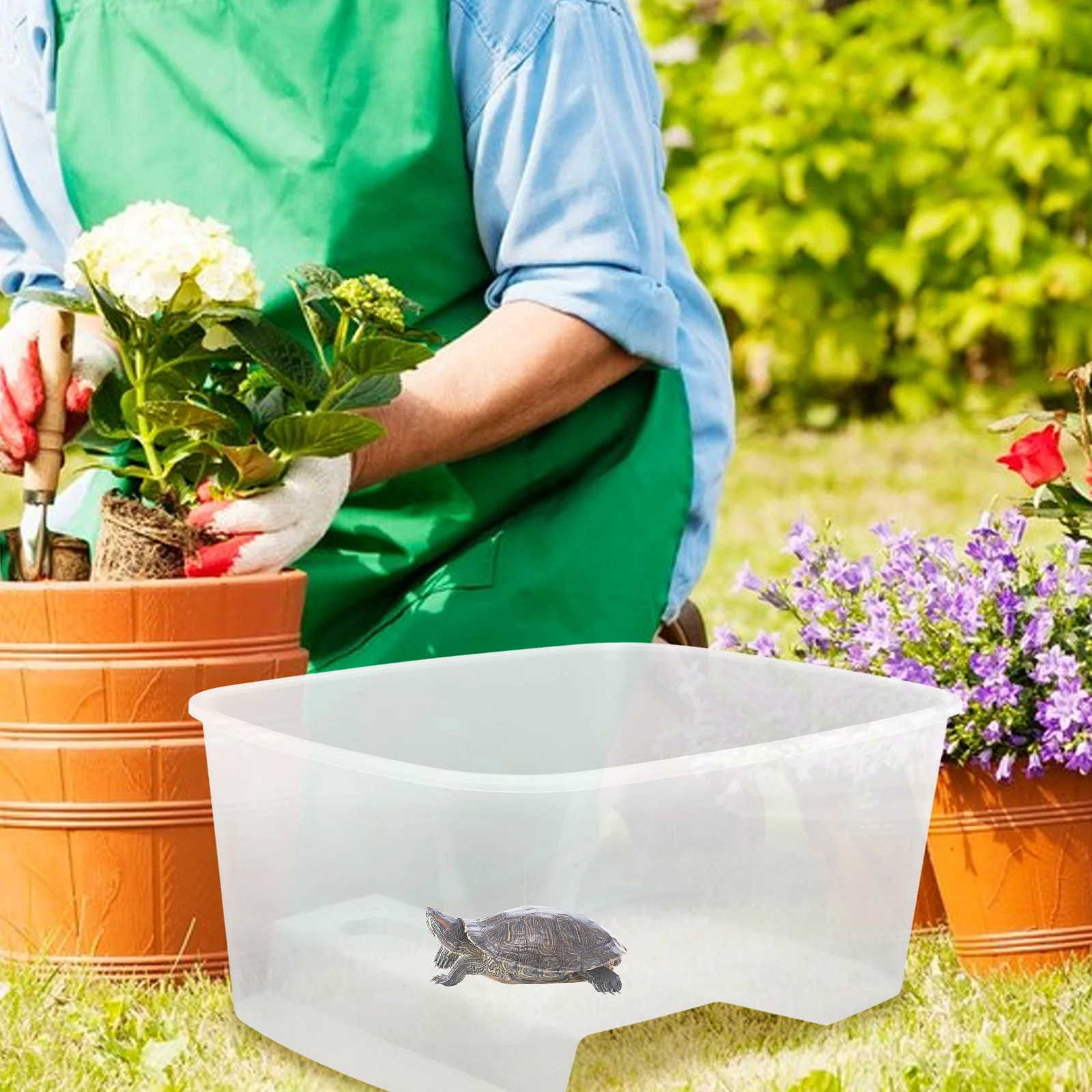 

Transparent Turtle Tank with Basking Platform Spacious Full View Aquarium Habitat for Small Reptiles and Amphibious Creatures