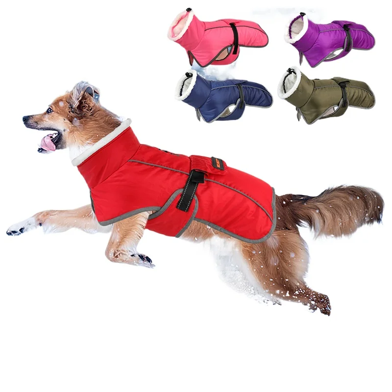 Pet Clothing Clothes Cotton-padded Clothes Winter Large Dog Golden Retriever French Bucket Corgi Puppy Dog Clothes Keep Warm