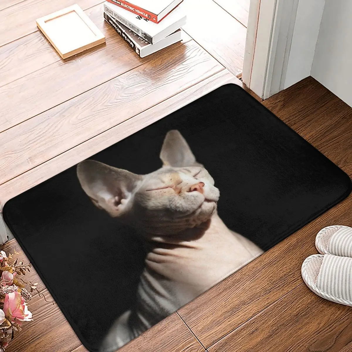 Sphynx Hairless Cat Non-slip Doormat Bath Mat Sphynx Cat Floor Carpet Welcome Rug Indoor Decorative