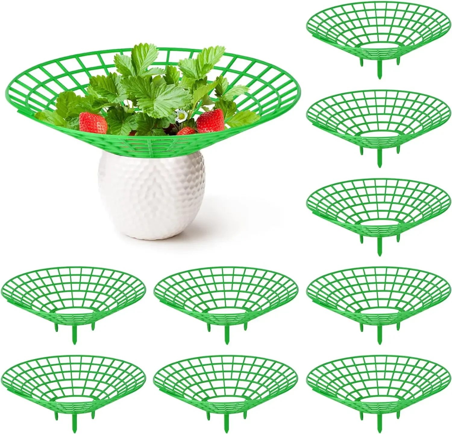 

10Pcs Strawberry Plant Supports with 3 Sturdy Legs Strawberry Growing Racks Protector Frame Holder Cage From Mold Rot Dirt