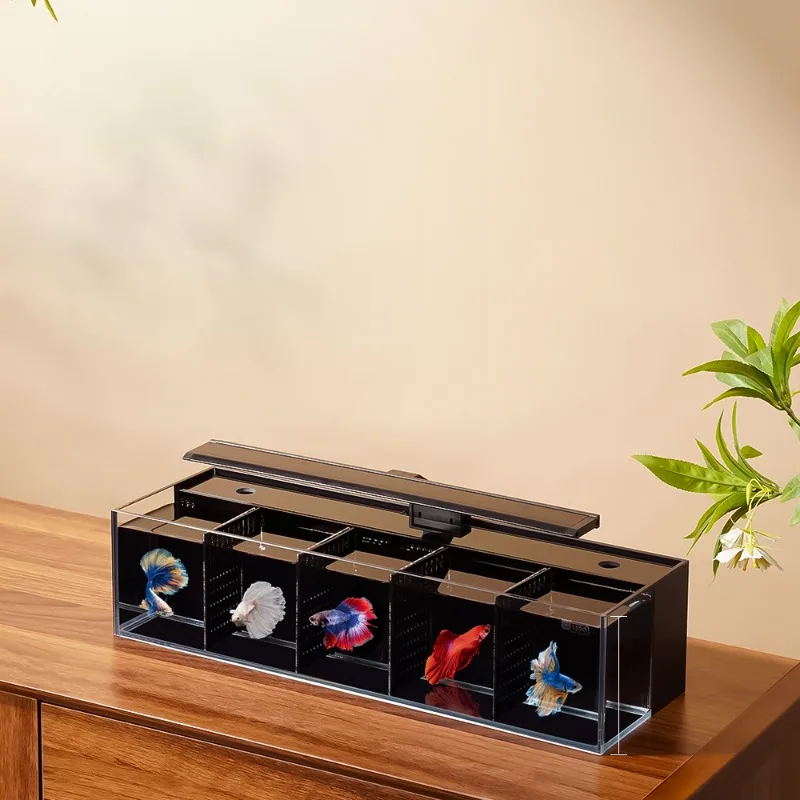 Douyu aquarium multi-grid combination small glass fish tank with filter no water change