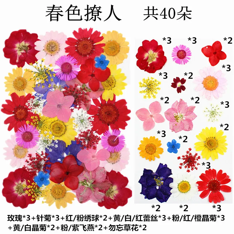 40-Piece Mixed Dried Flower and Leaf Combination Pack, Facial Decorations, Resin Painting Frame Dried Flower Materials Wholesale, Pressed Flower Package, Real Flower and Leaf Specimens