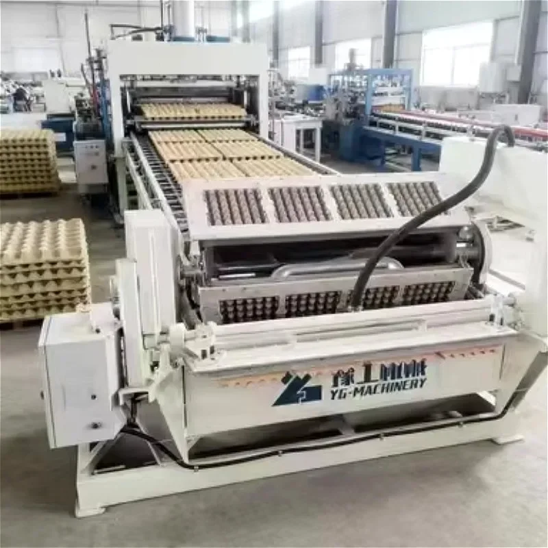 Low Cost Automatic Egg Tray Making Machine Production Line Moulding Equipment For Small Business Start Up Egg Box ManufacturingH