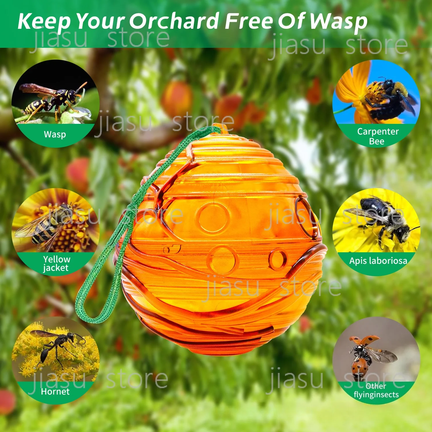 Eco-friendly Hive Type Wasp Fruit Fly Catcher, Outdoor High Effective Insect Trap for Orchard Garden Use